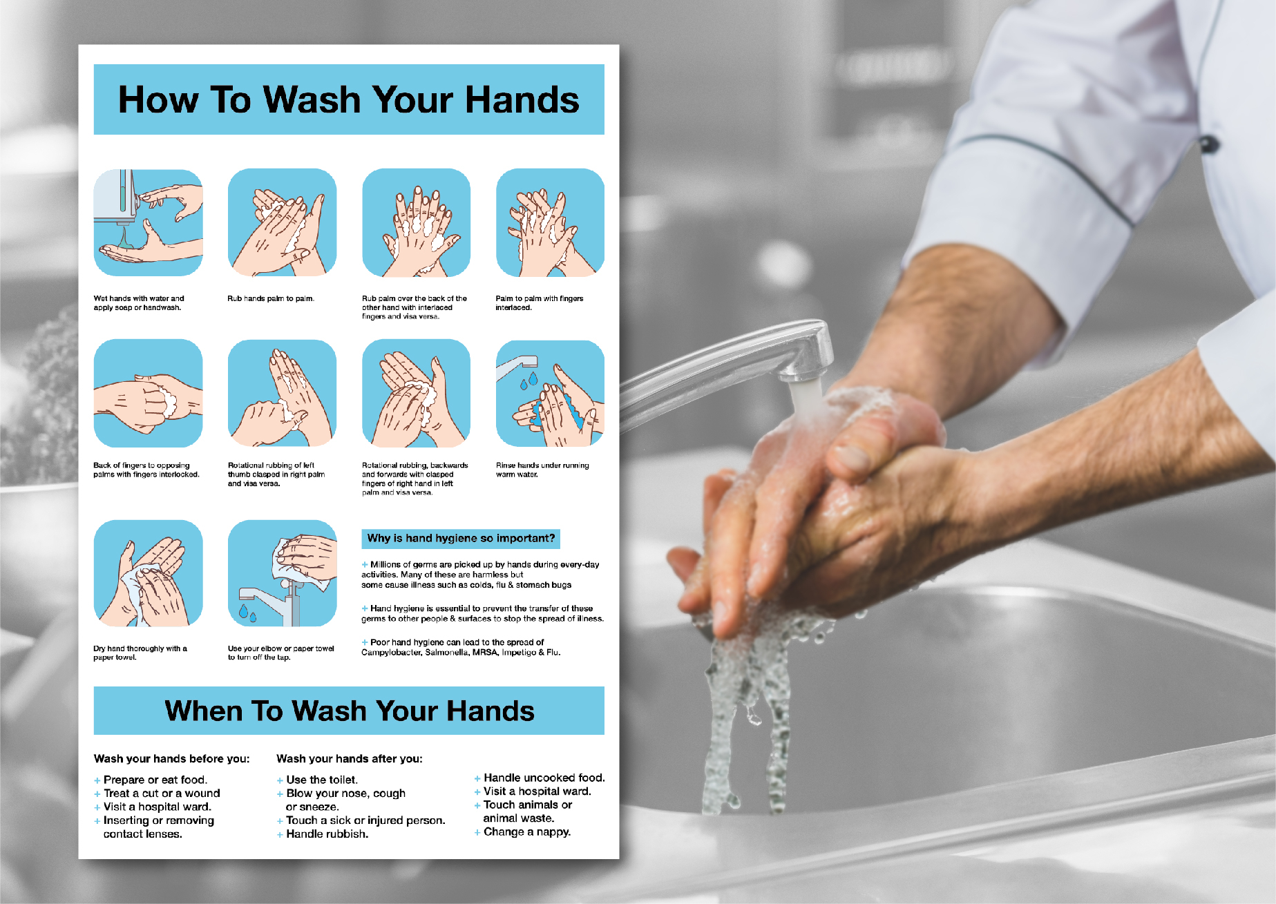 Catering Hygiene Signs & Posters