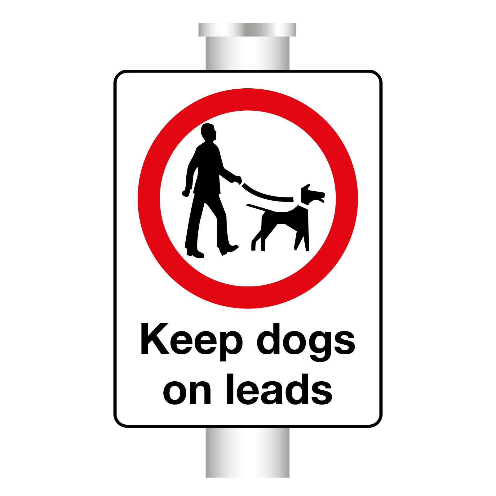Dogs new arrivals on leads