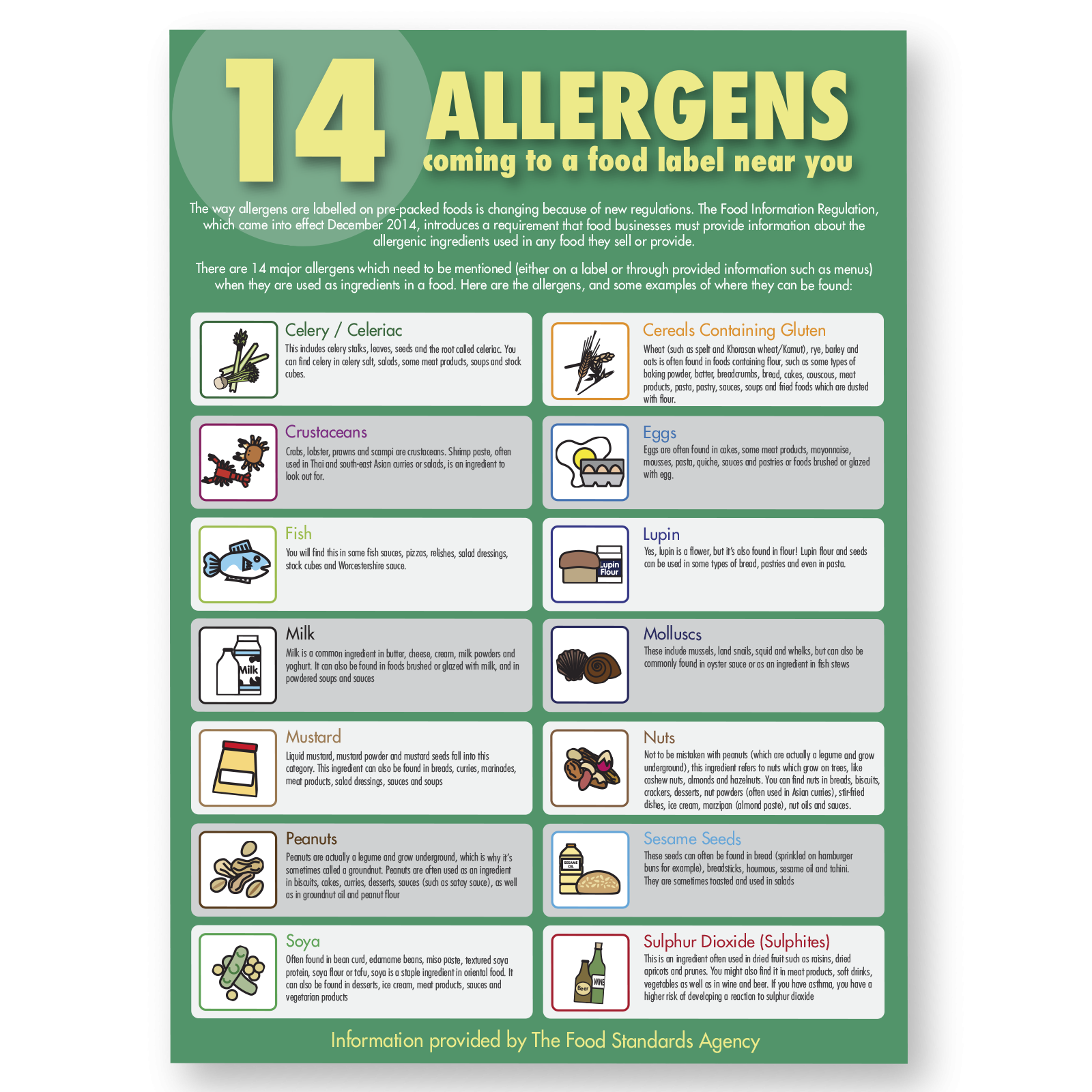 food-allergen-poster-staff-guidance-a3-size