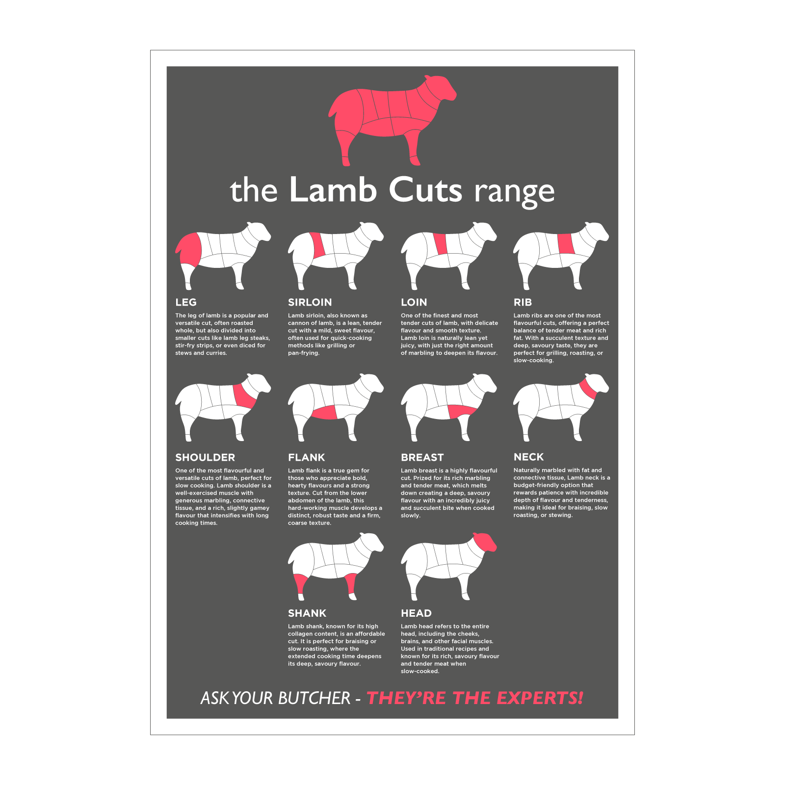 Butchers Lamb Cuts of Meat Laminated Poster