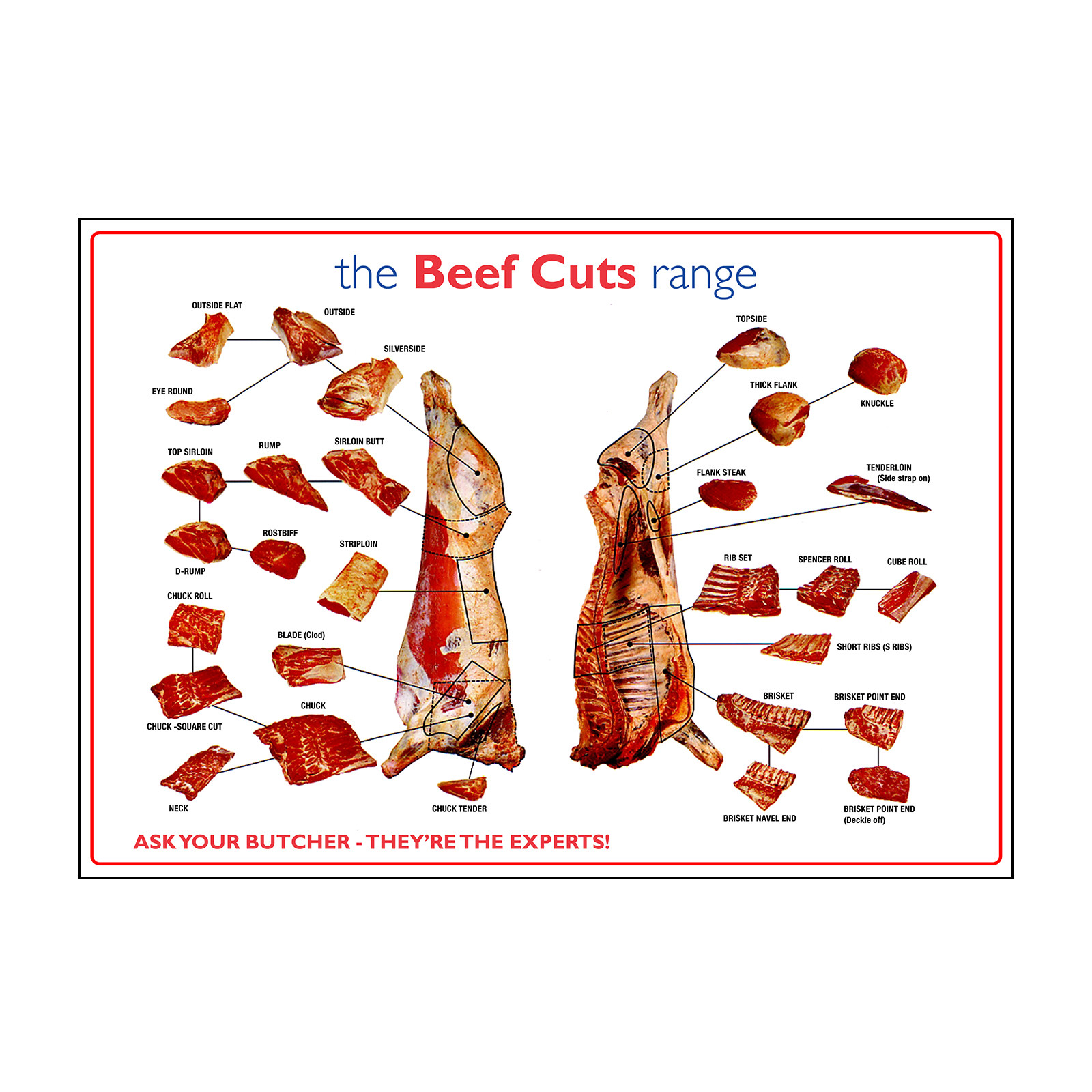 Butchers Cow Cuts of Meat Poster