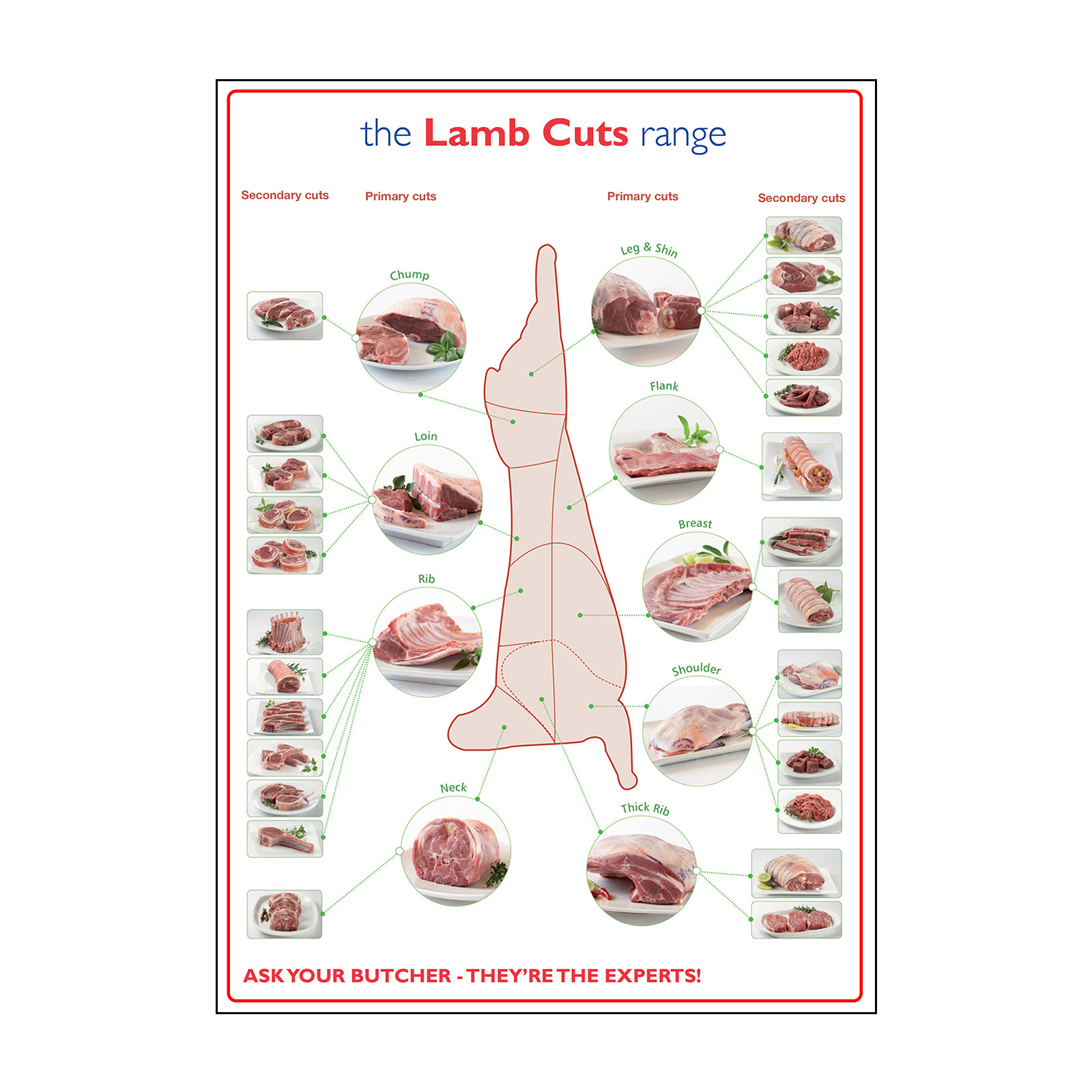 Lamb Prime Cuts of Meat Poster