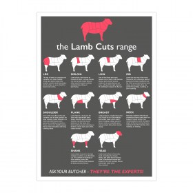 Butchers Lamb Cuts of Meat Laminated Poster