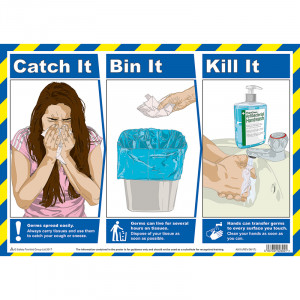 Catch It, Bin It, Kill It, Poster