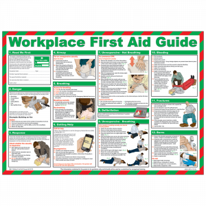 Workplace First Aid Guide Poster