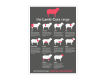 Butchers Lamb Cuts of Meat Laminated Poster