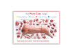 Pork Cuts of Meat Poster