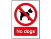 No Dogs Sign