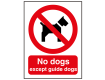 No Dogs Except Guide Dogs Sign