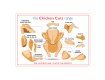 Butchers Chicken Cuts Laminated Poster