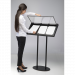 Menu Display Stand 