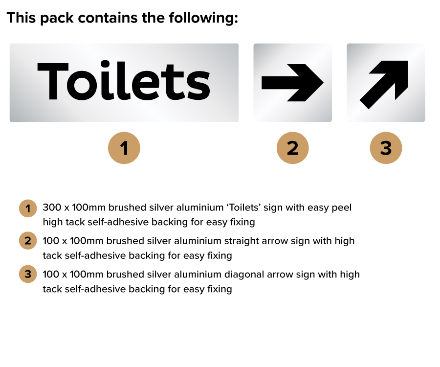 DS131 Silver Toilet Directional