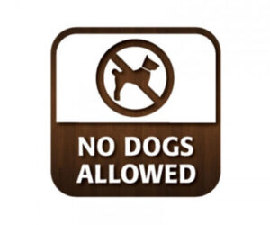 No Dogs Allowed - Window Sticker