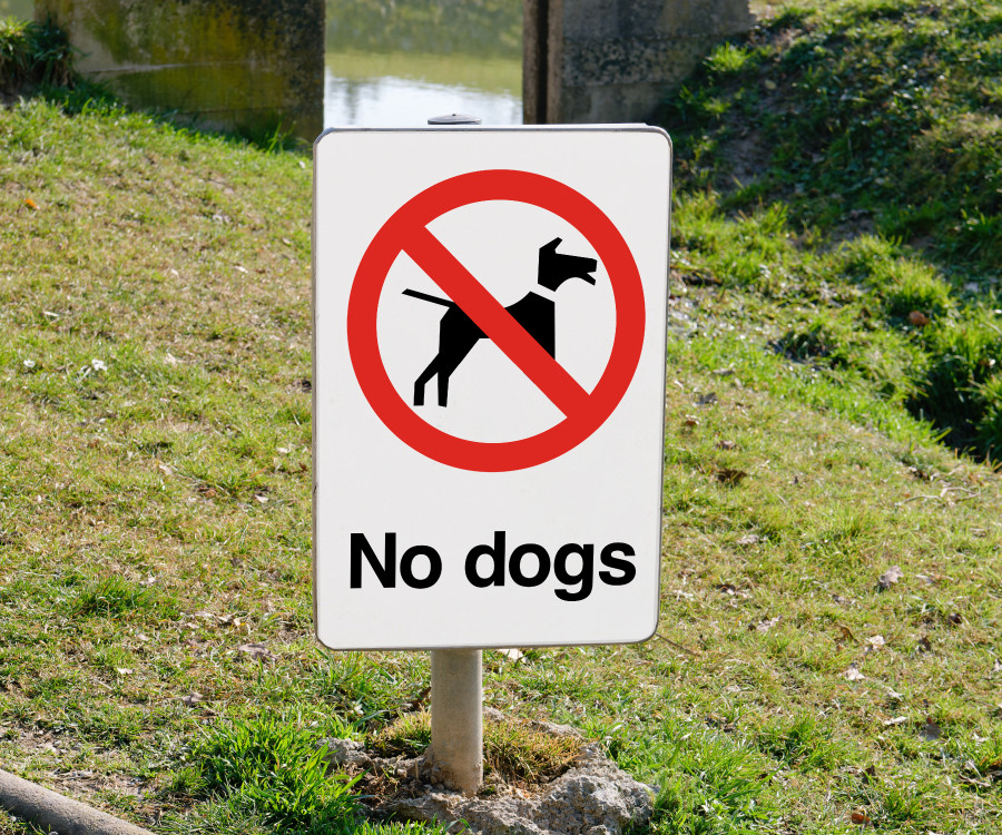ps263 ps264 no dogs wall post sign 200x300
