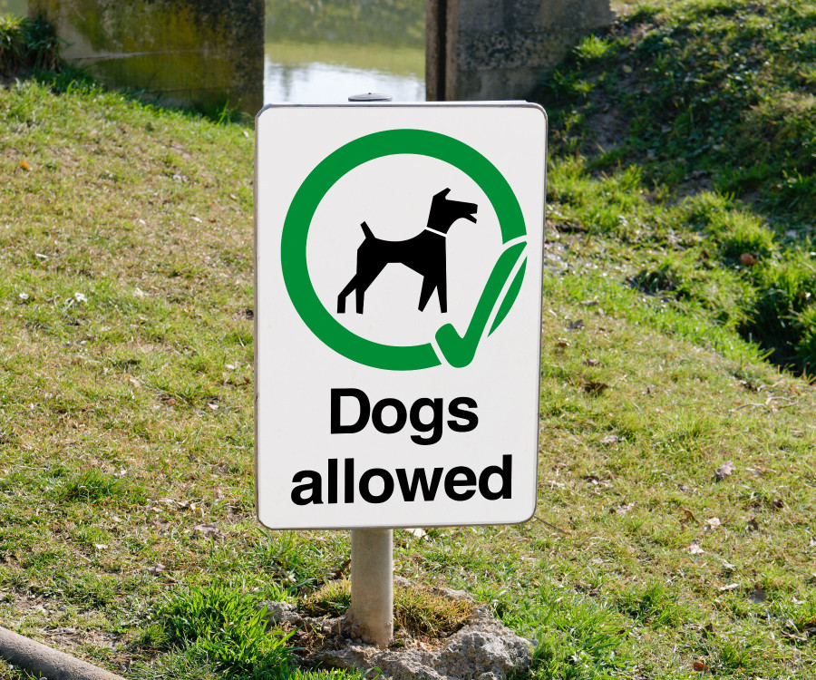 ps414-ps415 dogs allowed wall post sign 200x300
