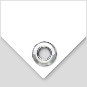 Clean Cut with Silver Eyelets